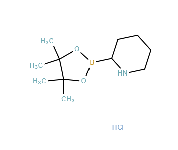 2-(4,4,5,5-Tetramethyl-1,3,2-dioxaborolan-2-yl)piperidine hydrochloride CAS no.：811439-31-3
