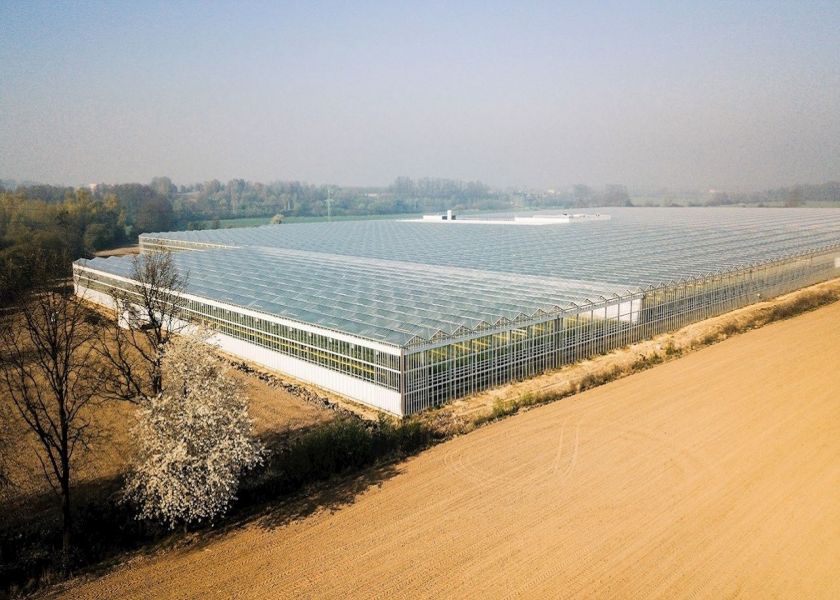 Multi-span hydroponics greenhouse