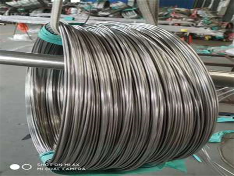 ASTM A249 269 Seamless 310 Stainless Steel Coil Tube, Assoċjazzjoni ta 'iperintensità ta' materja bajda ...