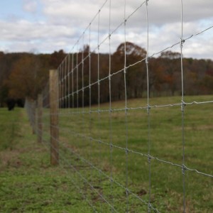 Joint de charnière de clôture de jeu de clôture de bétail de ferme galvanisé à chaud