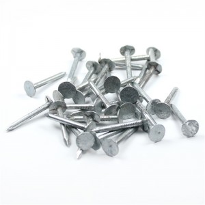 Clout Nails Steel Cut Nails Coil եղունգներ