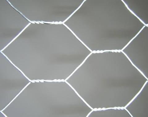 Hexagonal twisted mesh manufacturers