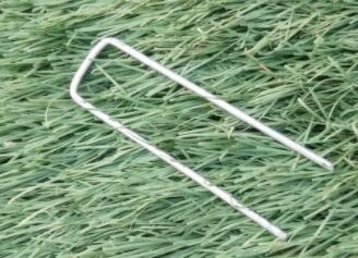 Plastic U – shaped lawn nail