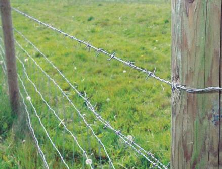 We supply barbed wire protection net, industrial fence net, Y type security protection net