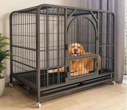 Do you have a dog cage at home?