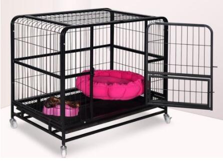 Do you have a dog cage at home
