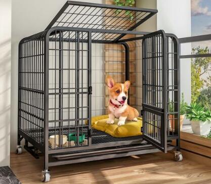 Is it possible to train dogs in cages