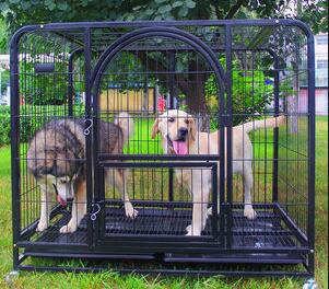 Zavarivanje kaveza za pse