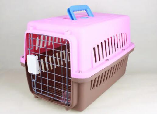 Use a special pet cage when checking your pet in
