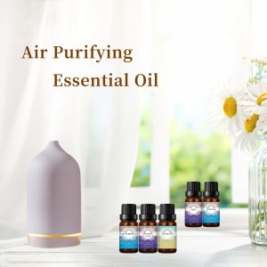 Mélange d'huiles essentielles de qualité thérapeutique d'huiles essentielles purifiant l'air pour diffuseur