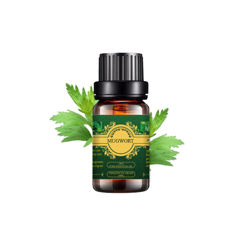 Mugwort Oil (Artemisia Vulgaris) අත්යවශ්ය තෙල් 100% පිරිසිදු ස්වභාවික සම්බාහන තෙල් සඳහා තනුක නොකළ විශේෂාංග රූපය
