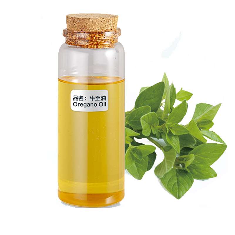 100% Natural Pure Fatory Grosir High Grade Aromatherapy Massage Mugwort Essential Oil Ing Best Price Hot Sale Featured Image