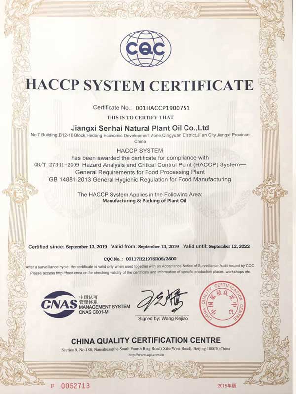 сертификат-08