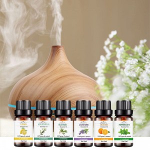 Conjunto de regalo de aceite esencial de aromaterapia con etiqueta personalizada de venta caliente (6 piezas / paquete)