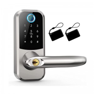Fingerprint lock Tuya WIFI remote wachtwurd lock elektroanysk smart lock