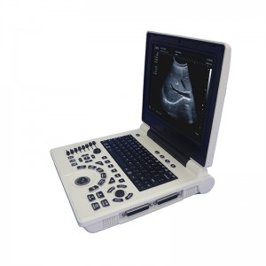 मेडिकल अल्ट्रासाउंड उपकरण नोटबुक बी/डब्ल्यू अल्ट्रासोनिक मशीन डायग्नोस्टिक सिस्टम