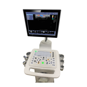 डॉपलर अल्ट्रासाऊंड निदान प्रणाली एलसीडी उच्च रिझोल्यूशन मेडिकल ट्रॉली अल्ट्रासाऊंड मशीन