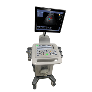 Doppler ultrason teşhis sistemi LCD yüksek çözünürlüklü tıbbi arabası ultrason makinesi
