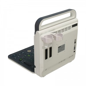 Bærbar ultralyds M60 scanner medicinsk standard medicinsk udstyr med arbejdsstation