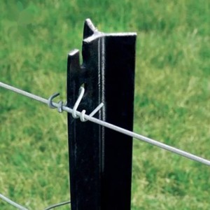 Y Star Pickets Fence Post voor scharnier gezamenlijke hek