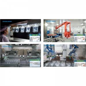 BZ Series Automatic Package system