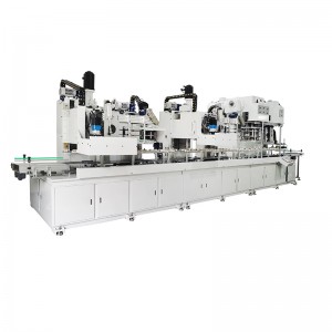 YHZD-30D Full-auto production line for 18L square cans