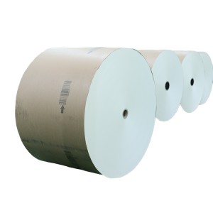 PE Coated Paper Roll for Paper Cup Waterproof Wholesale