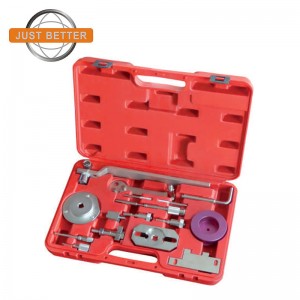 BT1699 Timing Tool Set for FLAT and PSA Engines