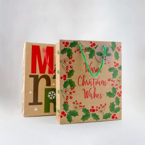दोरीच्या हँडलसह सानुकूलित लोगो प्रिंटिंग ख्रिसमस क्राफ्ट पेपर बॅग