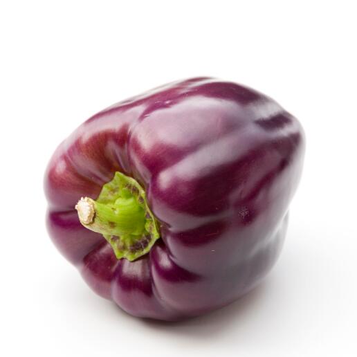 Purple black hybrid blocky sweet pepper nga liso