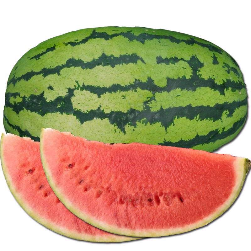 Emperor No.1 Chinese big f1 hybrid watermelon mbeu