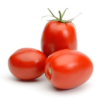 Sementes de tomate vermelhas de formato oval grande tipo F1 de crescimento determinado