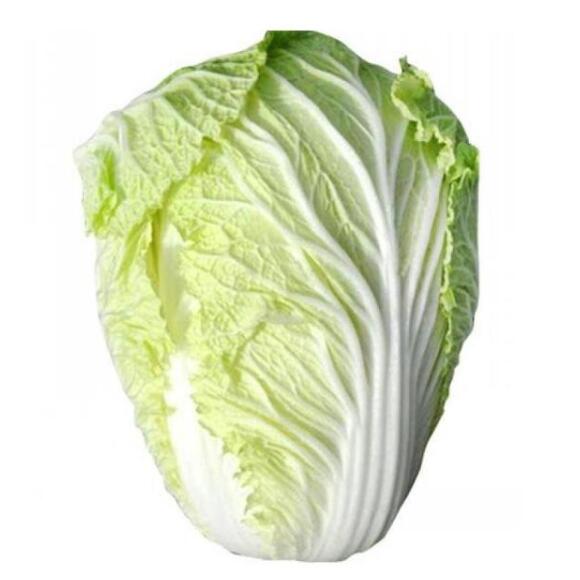 Good quality Chinese cabbage seeds vegetable seeds