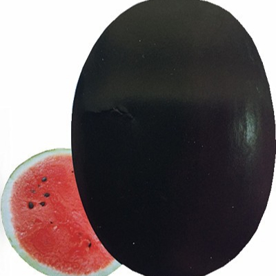 Black Jing Chinese Pure Black Hybrid Semințe de pepene verde