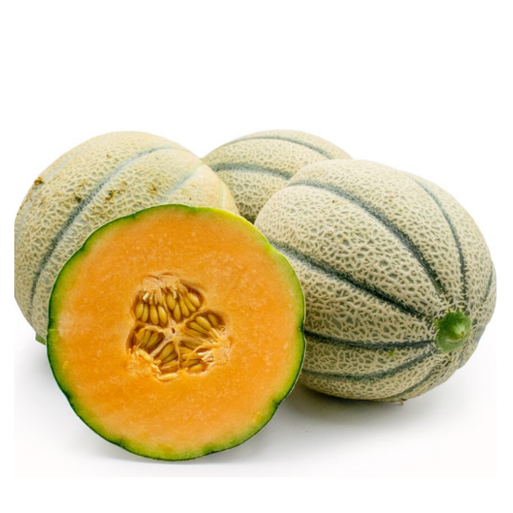Wholesale Ewòp Round Stripe Sweet Hybrid F1 Melon grenn