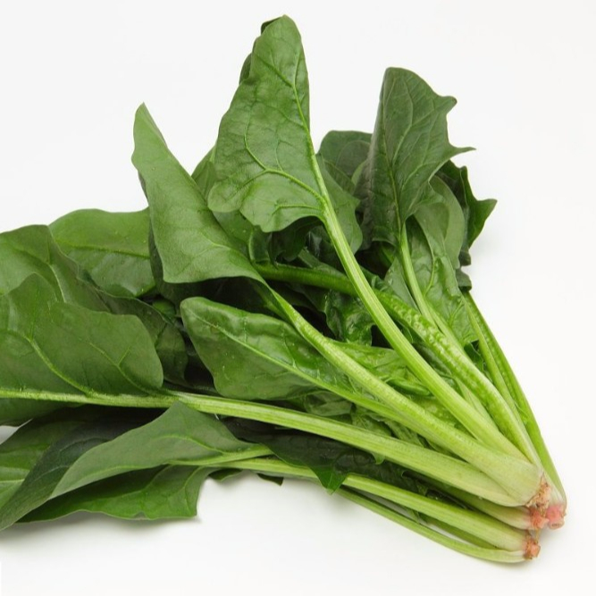 Sementi di spinaci verdi di alta qualità, sementi di verdura