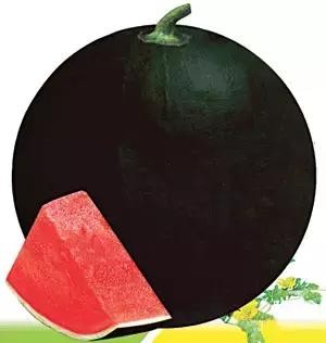 Rûne foarm swarte hûd read fleis siedleaze watermeloen sieden foar planten