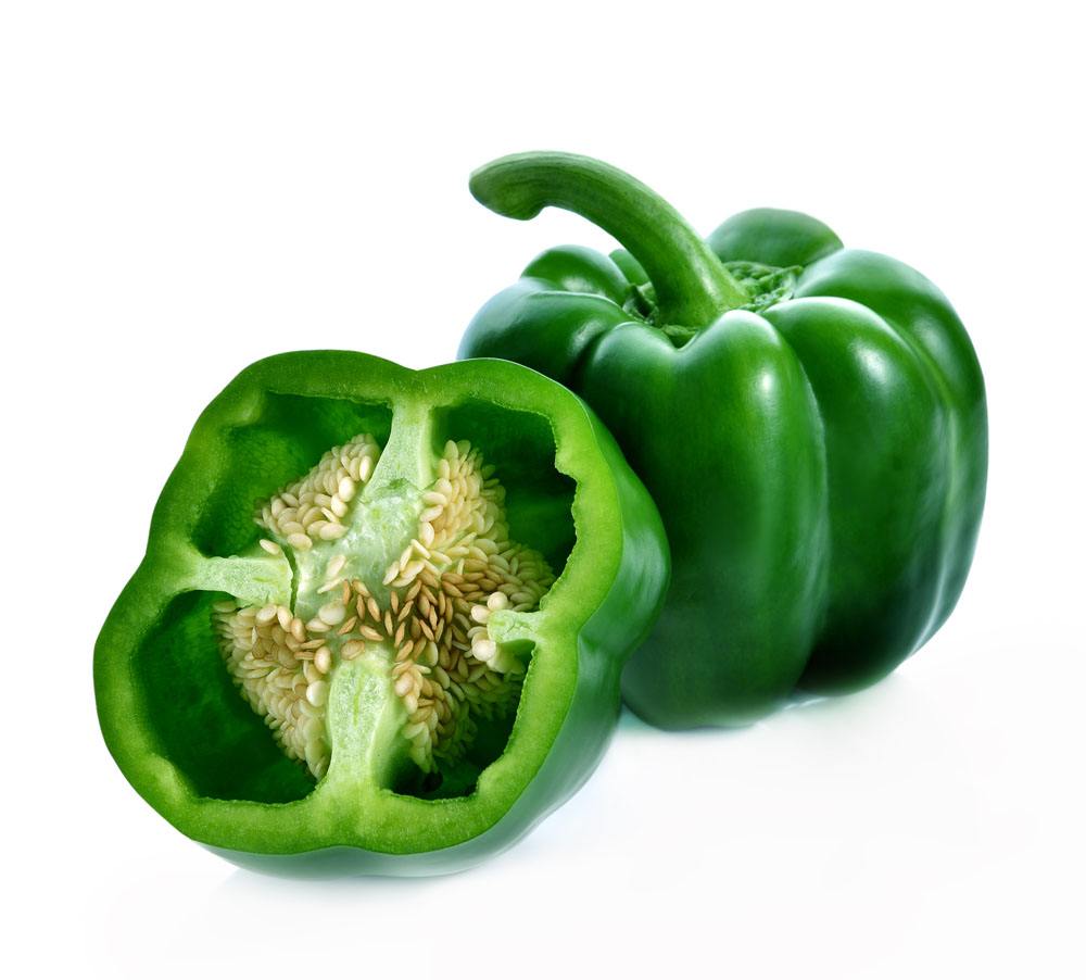 Early maturity sweet pepper seeds SXP No.3