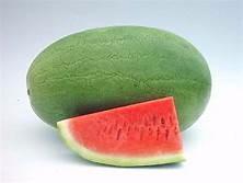 Isaro rinini Ubushinwa oblong imbuto ya watermelon