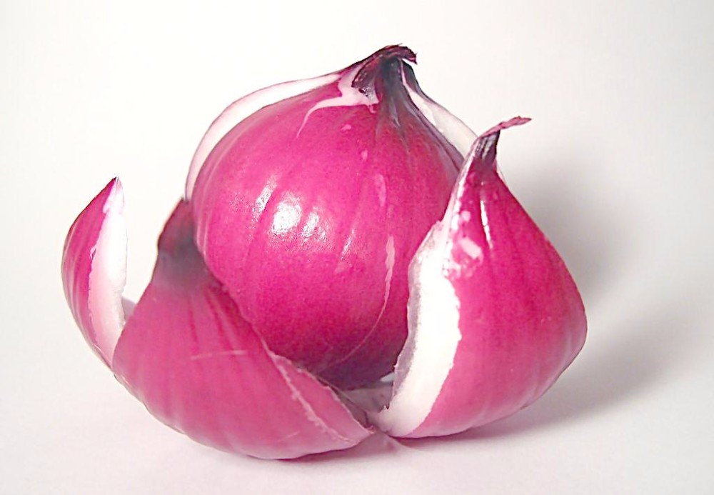 Chinese hot sale harvest quality vegetable hybrid red onion seeds