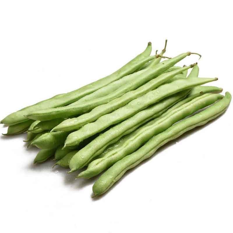 Quattuor Season Renibus Bean High Cede mane maturitate semina vegetabilia