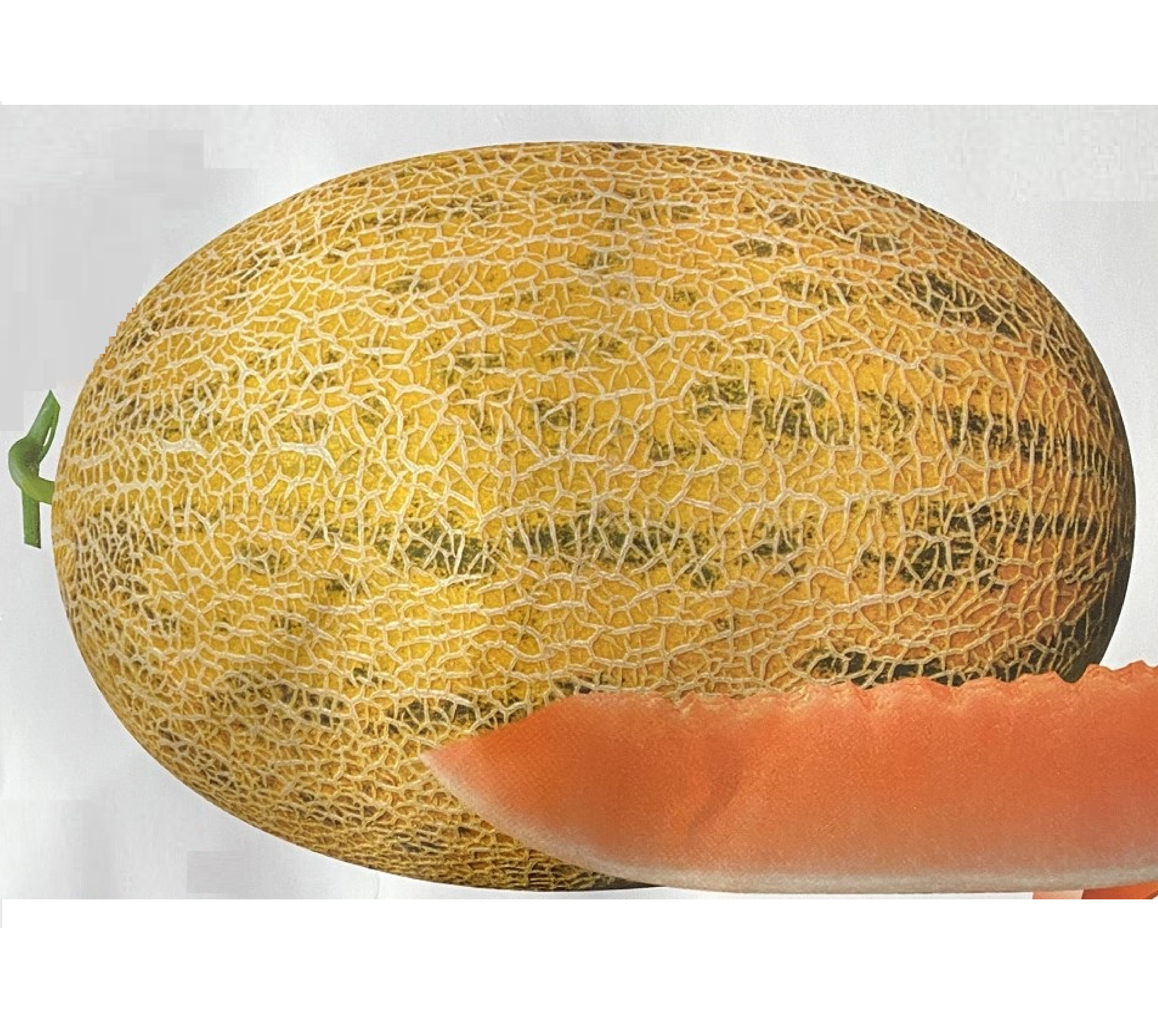 Semi di melone d'alta qualità per l'ingrossu