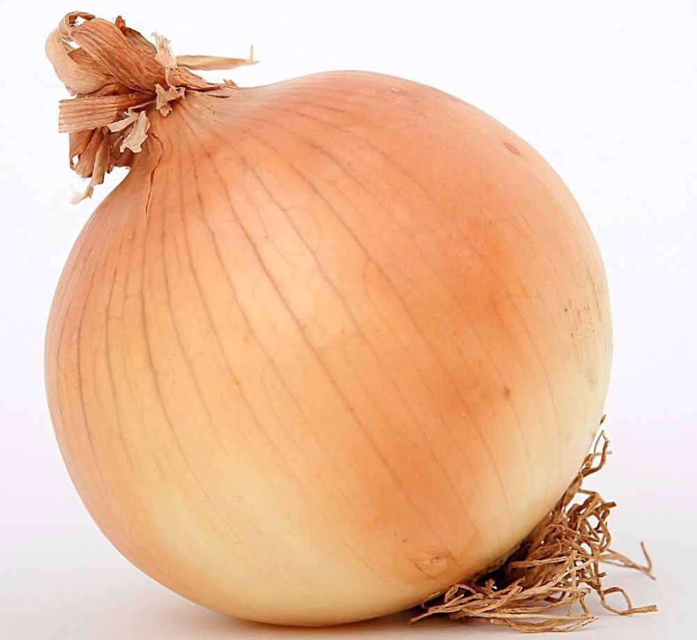 Hot sale Chinese yellow onion seeds vegetable seeds with best price