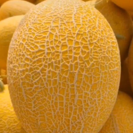 Giel Xing Ha Hybrid rout Fleesch séiss Melon Somen