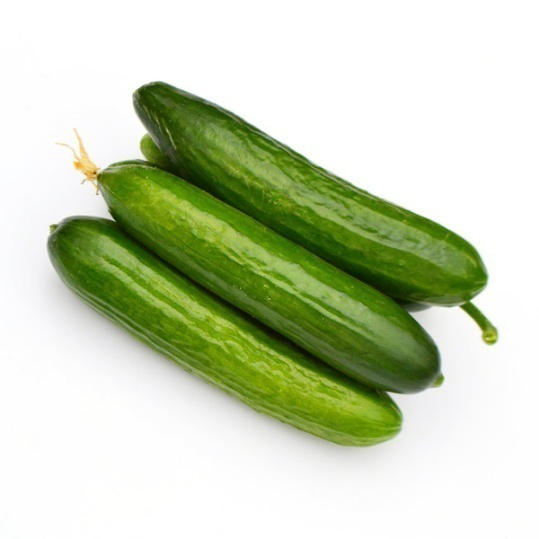 SXC No.6 Sineeske f1hybride plantaardige komkommer sied foar glêstúnbou