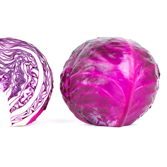 Hot sale anthocyanin color red cabbage seeds with competitive price
