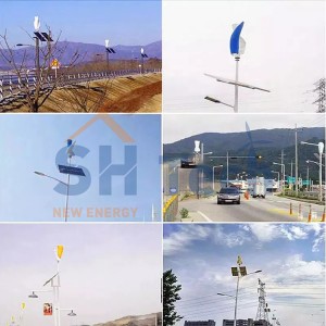 I-W-Type I-Vertical Wind Turbine emisha - Ukufeza Inguquko Yamandla Ahlanzekile3