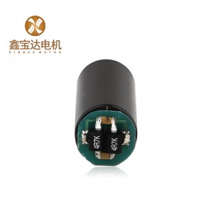 13mm Tattoo coreless brushed electric DC motor XBD-1330
