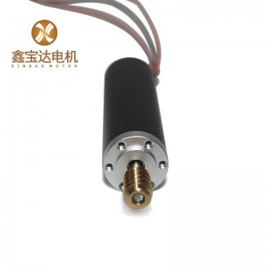 မြန်နှုန်းမြင့် Brushless DC Micro Tattoo Gun Motor လျှပ်စစ် Drill အတွက် သွားဘက်ဆိုင်ရာ လျှပ်စစ်မော်တာ XBD-1656