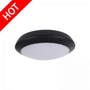 SX30 Modern Simple Fashion LED Waterproof Ceiling Light Circle